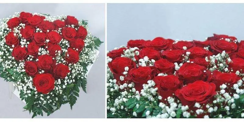 Пламенное Желание