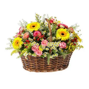 Сладкая Жизнь